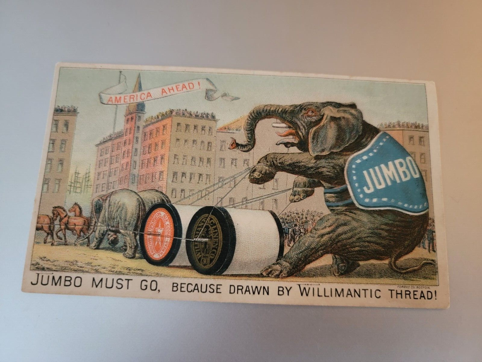 Willimantic Thread Victorian Trade Card Six Cord Spool Cotton Jumbo Must Go