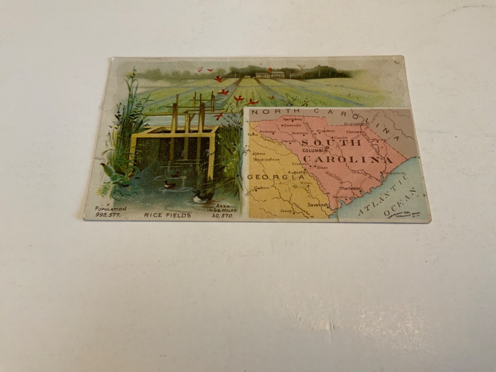 New York~Arbuckle Bros.-Ariosa Coffee No. 64 South Carolina- c.1889 Trade Card