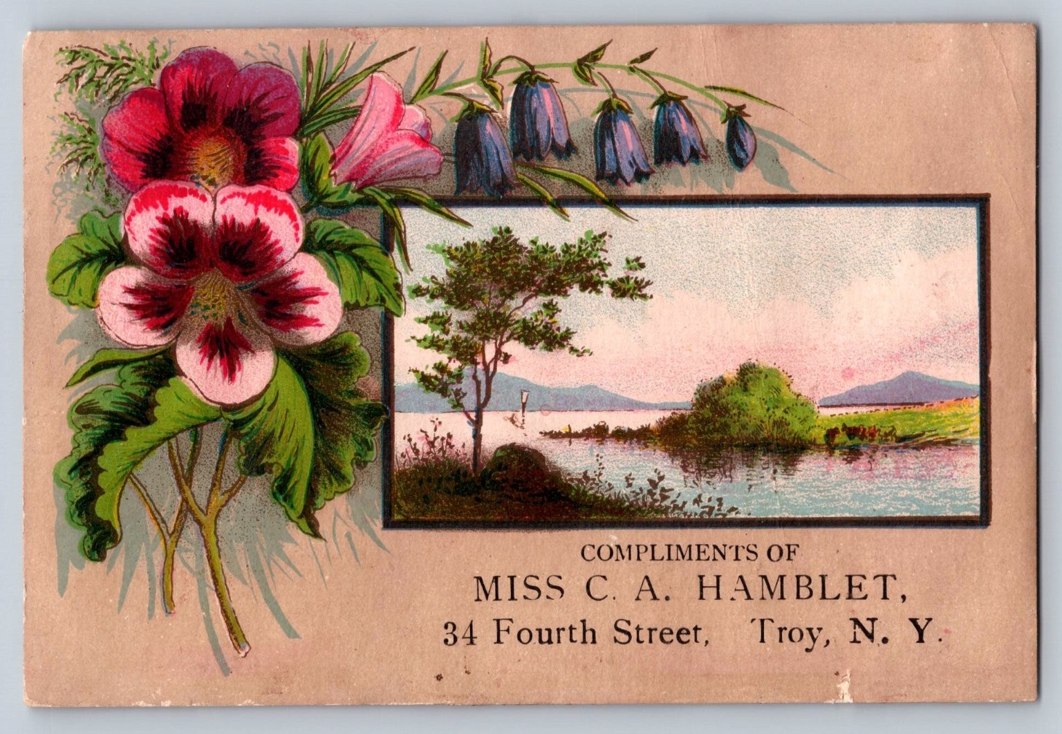 Victorian Trade Card Miss C. A. Hamblet Troy NY Underwear Floral Landscape