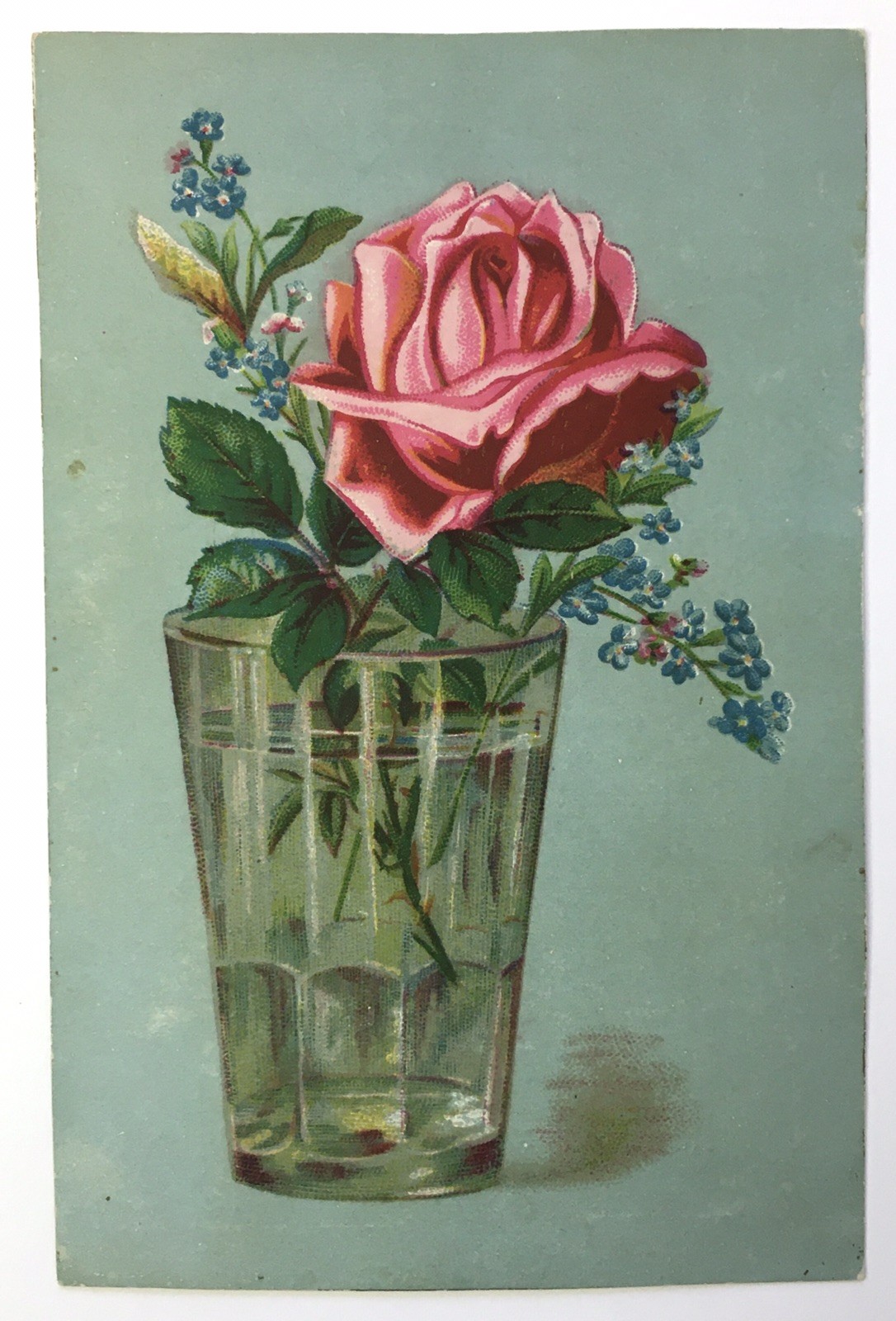 Large Vintage Trade CARD Pink Rose in Bloom in Clear Glass Vase Blue Background
