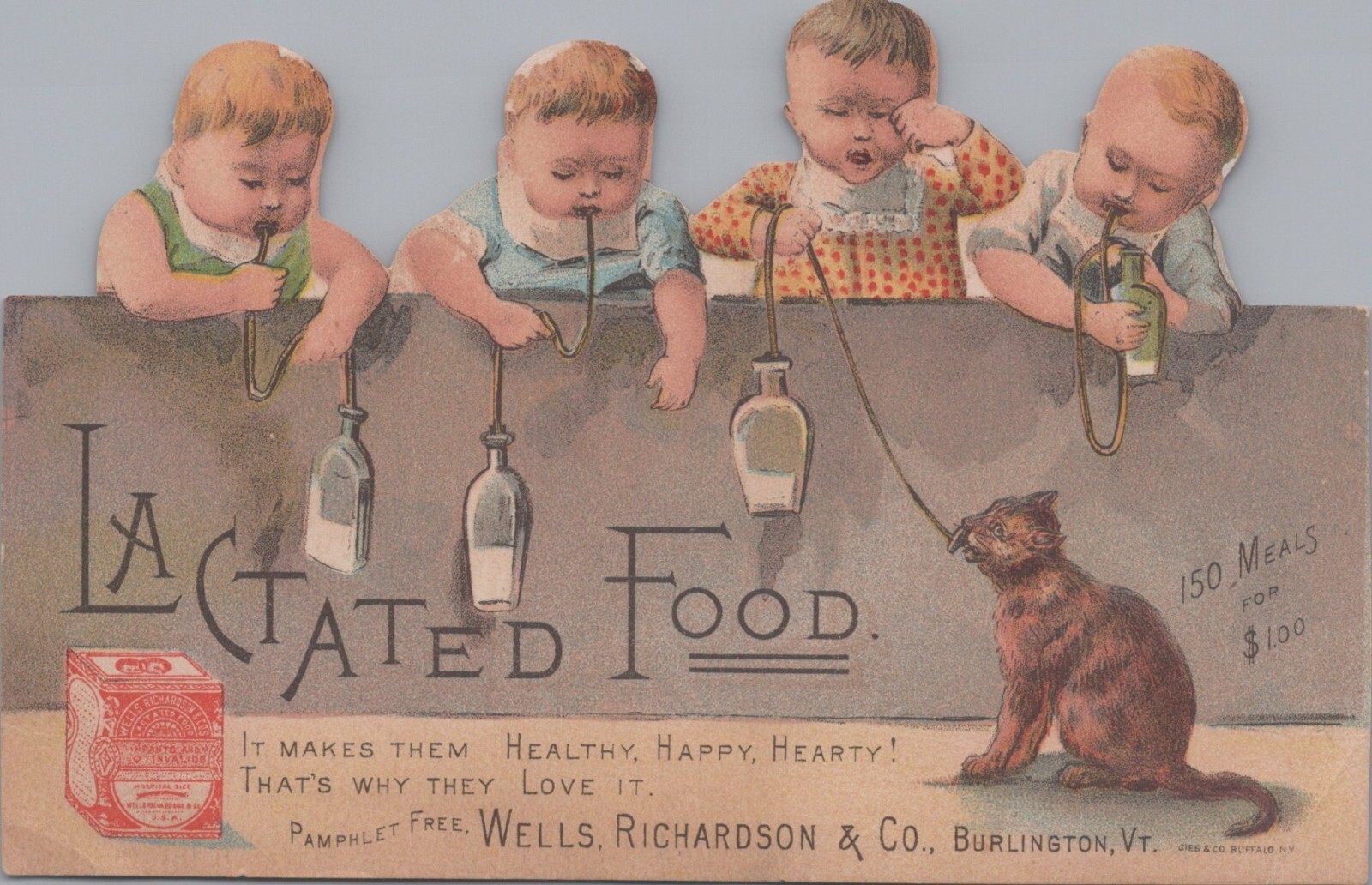 Wells Richardson Lactated Foods Babies Cat Eating Die Cut Burlington VT JQV7