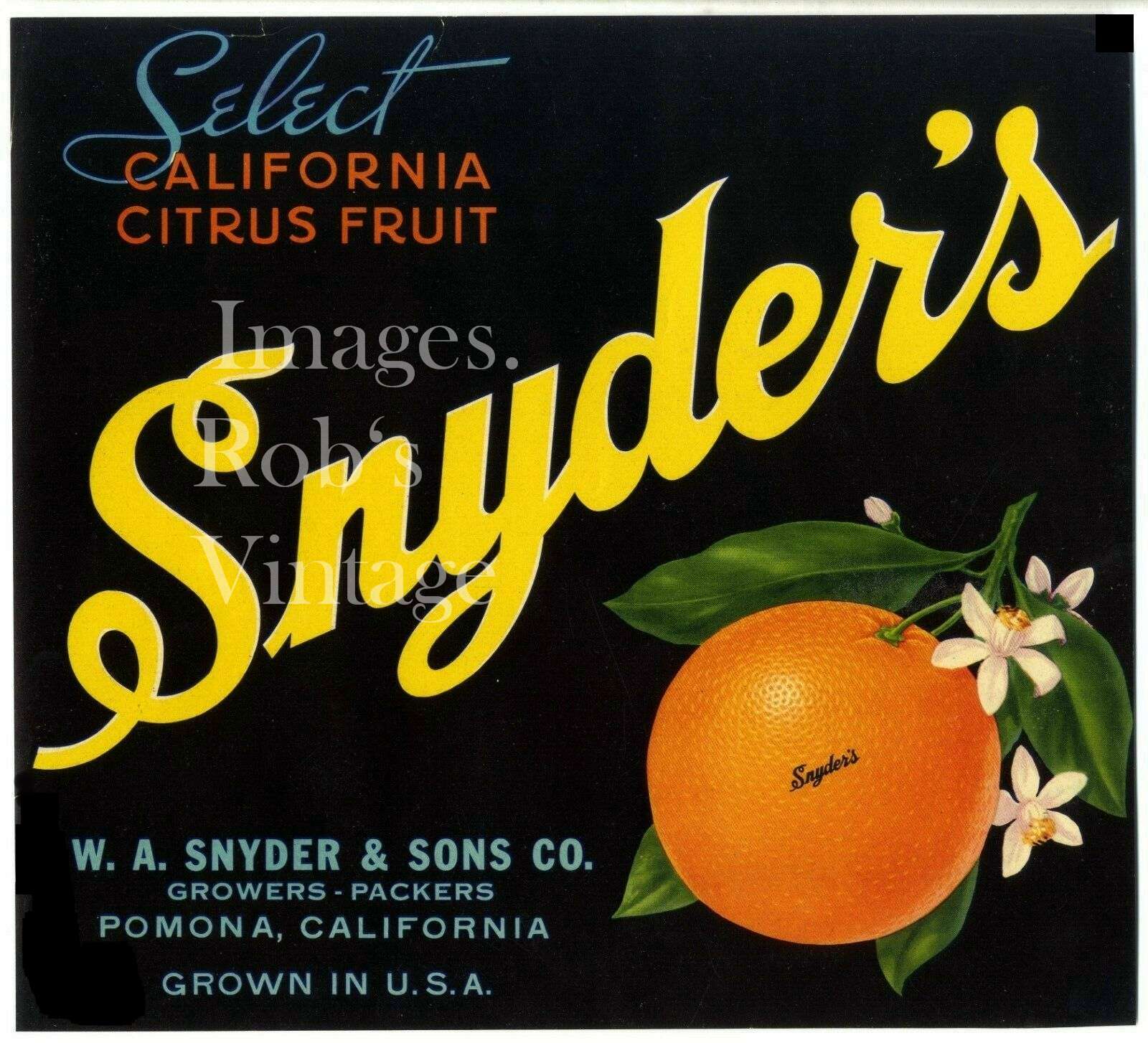 Pomona CA Orange Citrus Fruit Crate Label Art Print Snyders