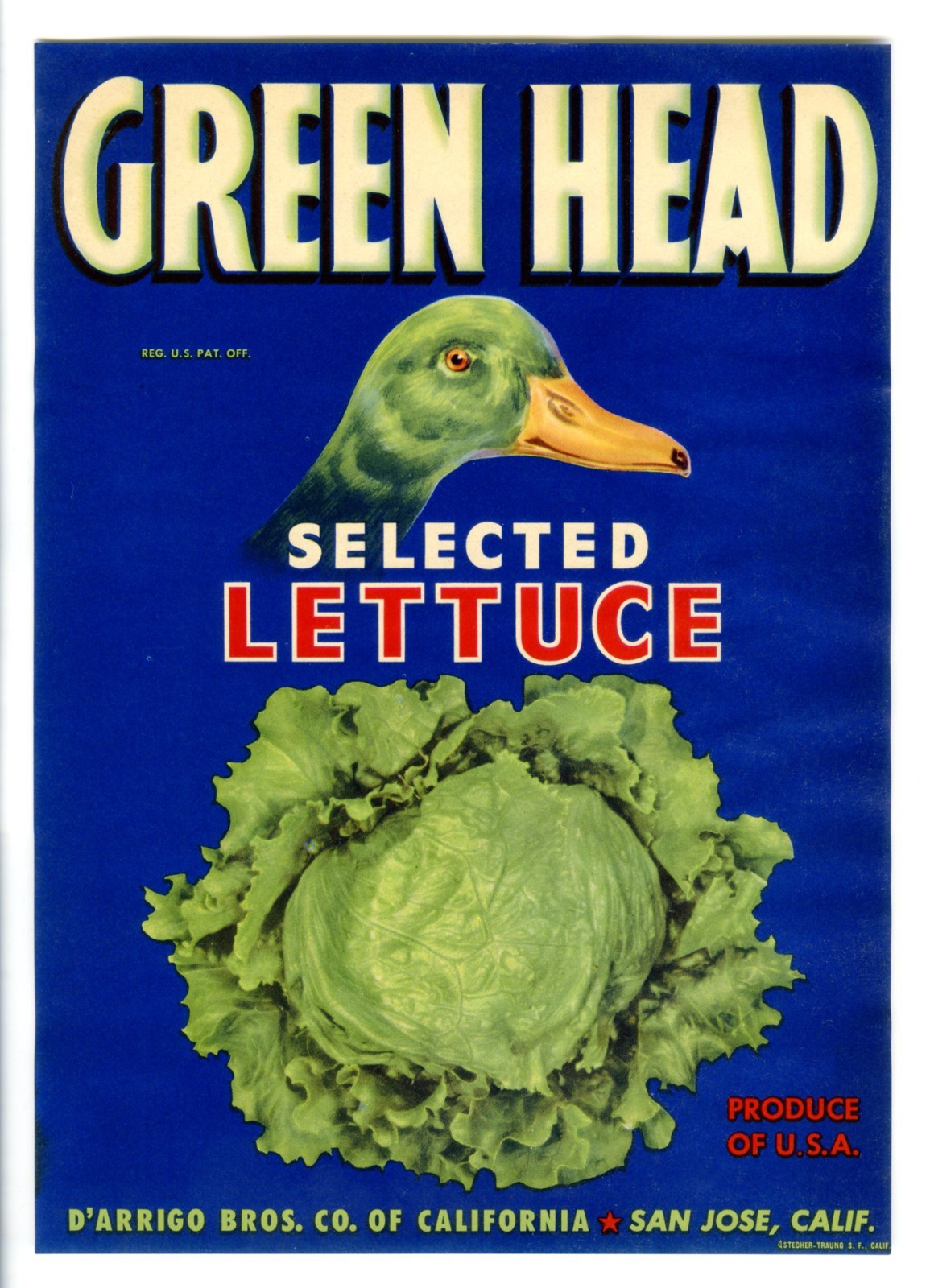 GREEN HEAD~DUCK~ORIGINAL 1940s SAN JOSE CALIFORNIA VEGETABLE LETTUCE CRATE LABEL