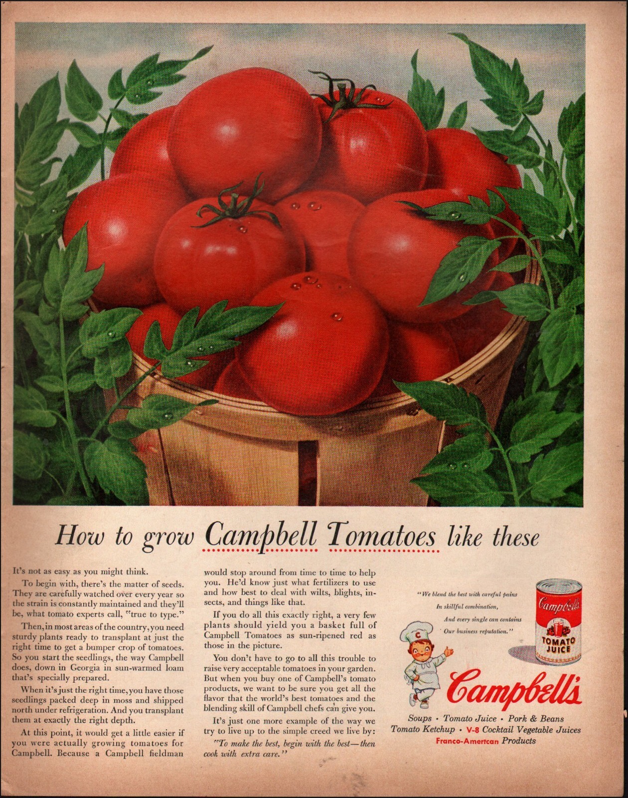 1955 Vintage ad Campbell’s Tomato Juice retro Basket Tomatoes 03/13/23