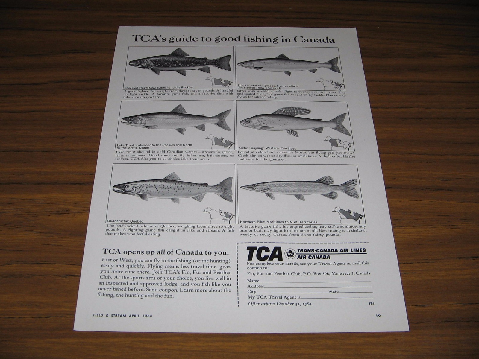 1964 Print Ad Trans-Canada Airlines Guide to Good Fishing 6 Fish Shown