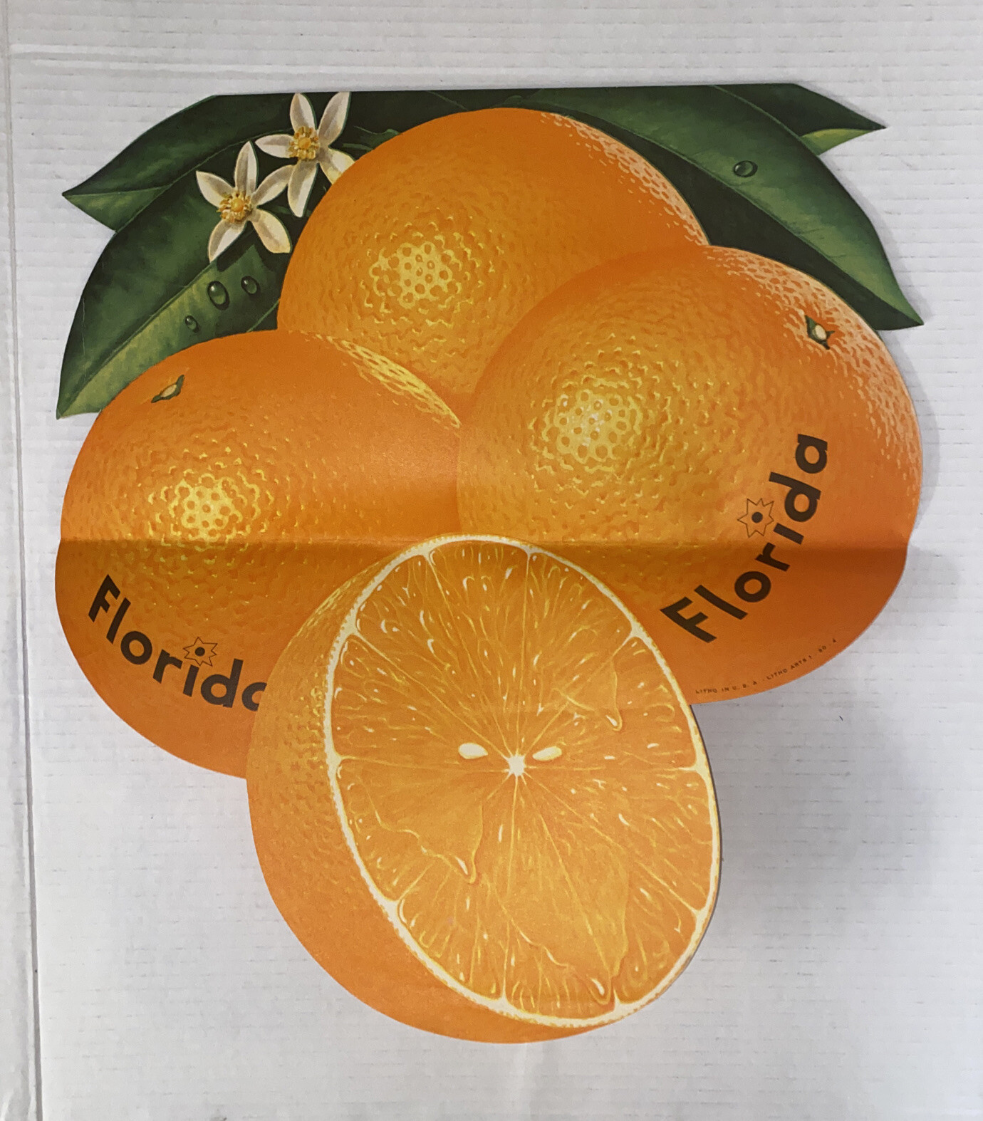 Vintage Florida Oranges CUT vers. Grocery Sign AD Poster Display Litho USA Prop