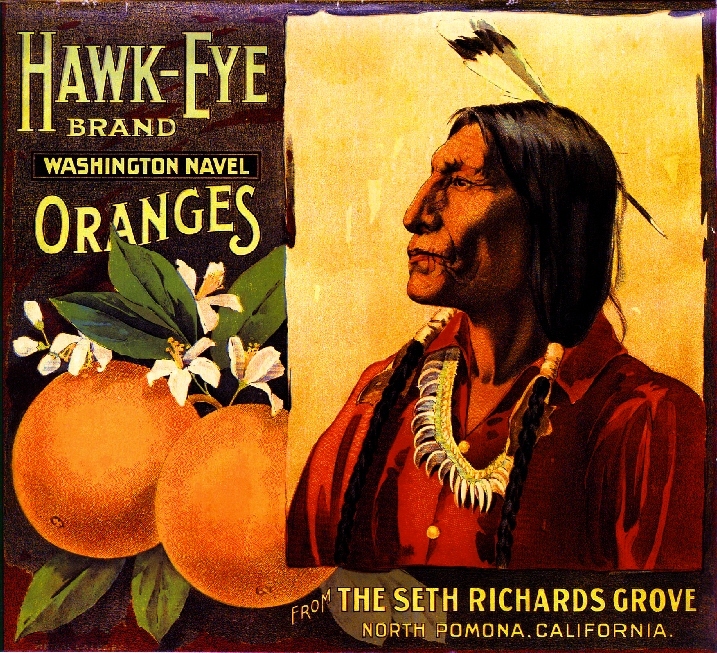 Pomona Hawk-Eye Brand Orange Citrus Fruit Crate Label Art Print