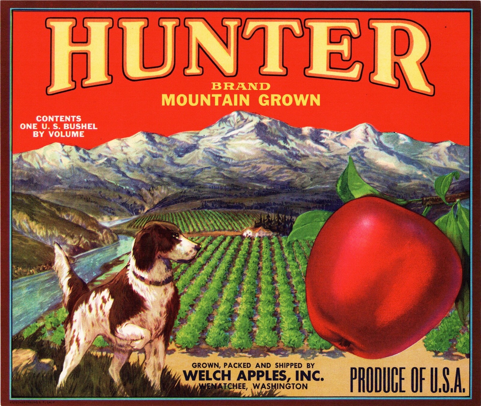 HUNTER Brand Apples Original Fruit Crate Label – Wenatchee, Washington
