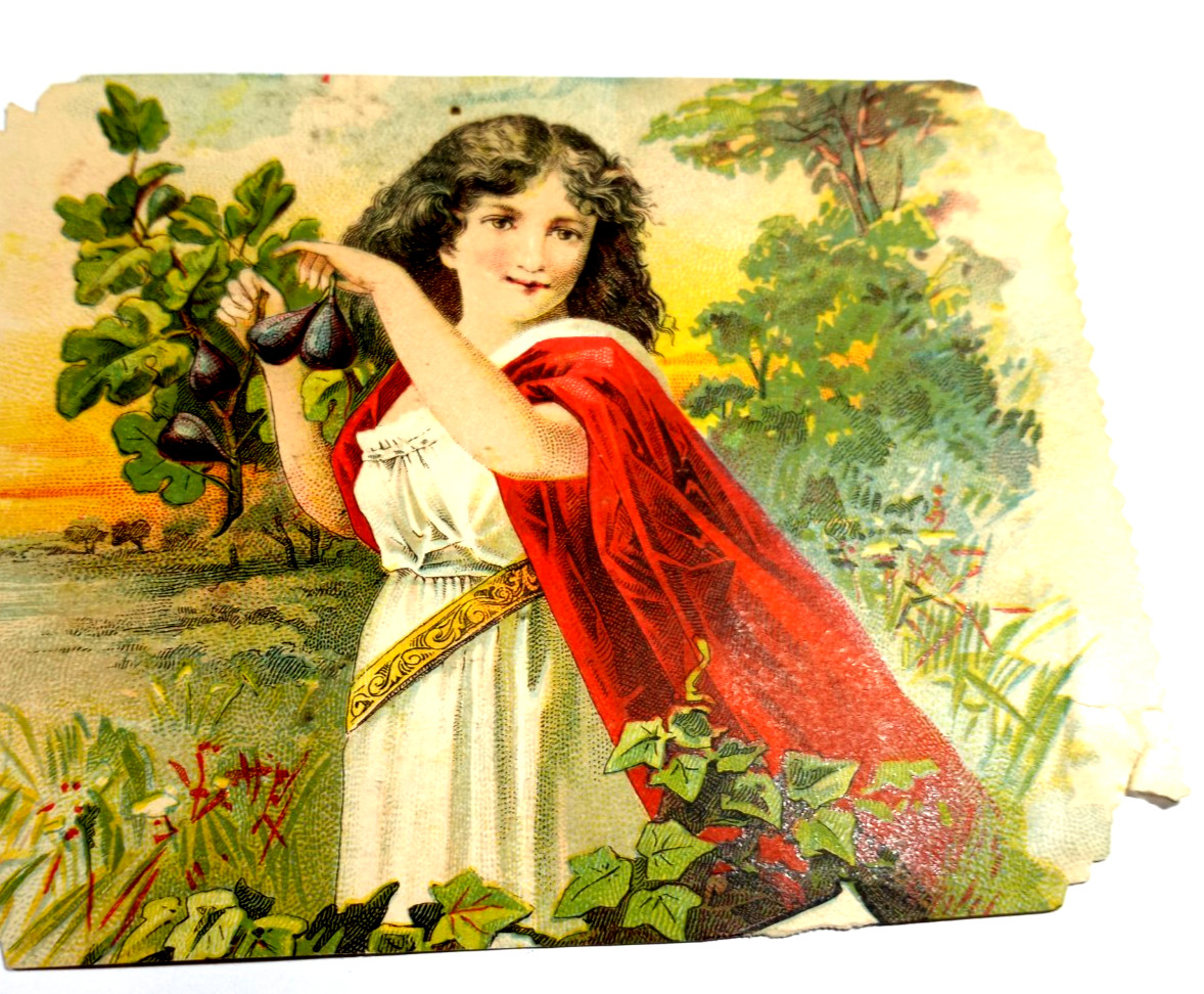 Vintage Victorian Advertising Trade Card,SYRUP OF FIGS
