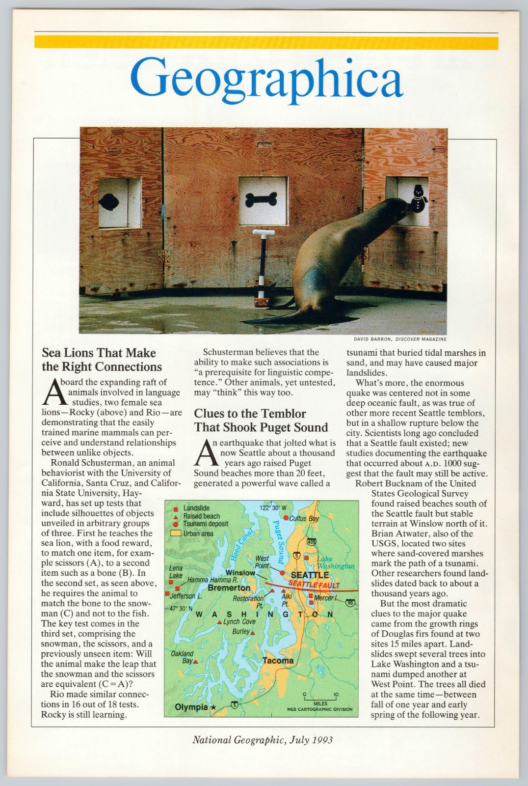 1993 Geographica Nat Geo Print Article: CA Sea Lions Intelligence WA Earthquake