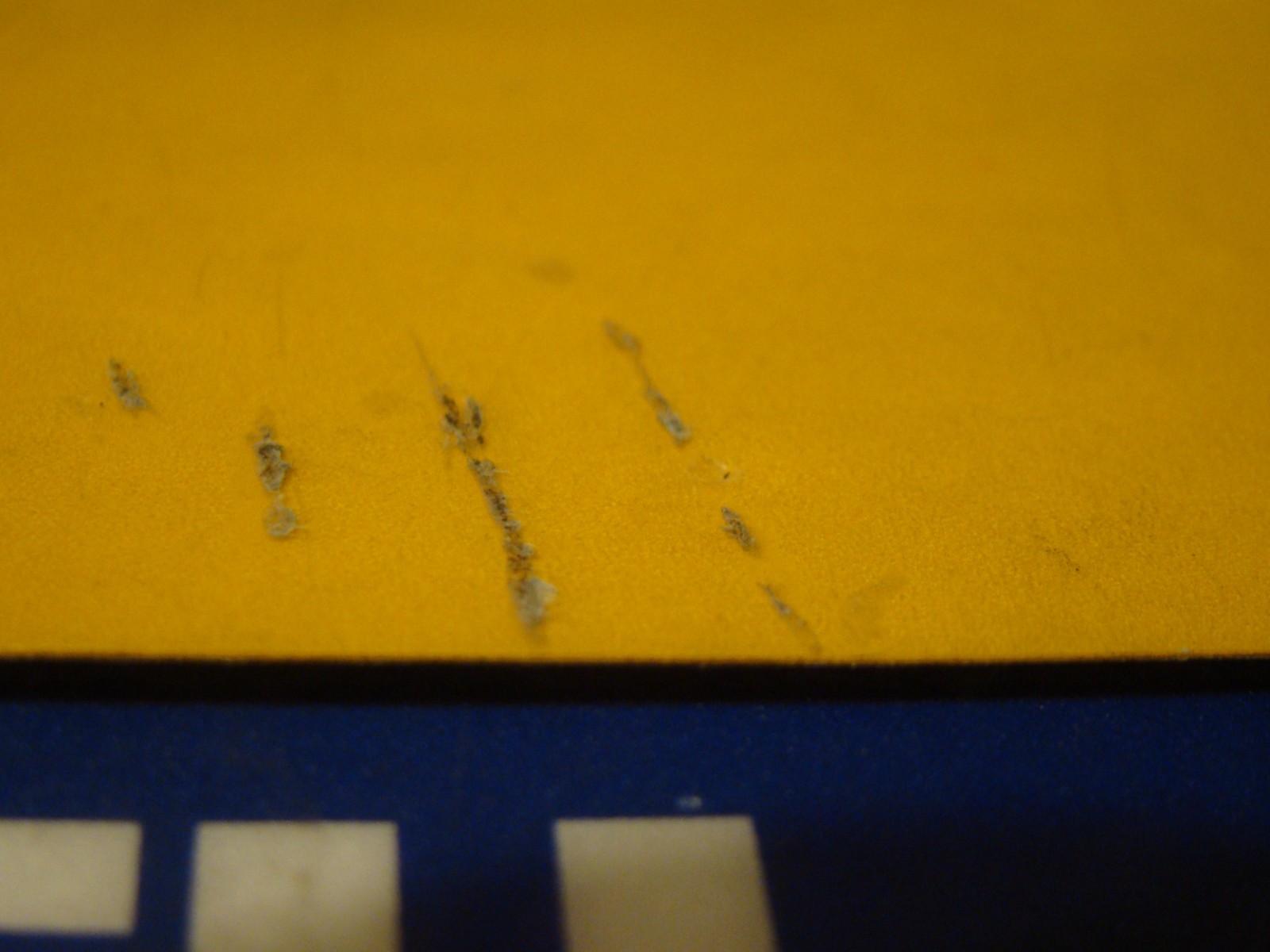 Vtg NAPA Lucas Oil 19″ X 14″ & Mobil 1 – 20 1/4″ x 14 3/8″ Counter Mats Lot of 3
