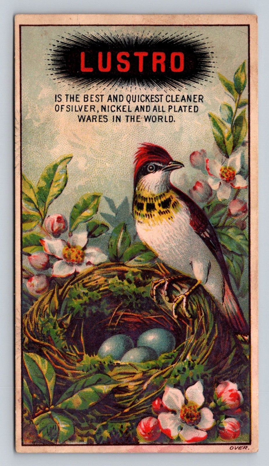 Lustro Exotic Bird Nest Eggs Cleaner Silver Nickel Plated Wares P142