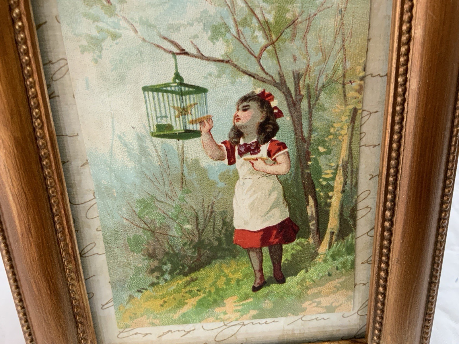Vintage Antique Victorian Trade Card Ephemera Framed, Girl With Birdcage, Tree