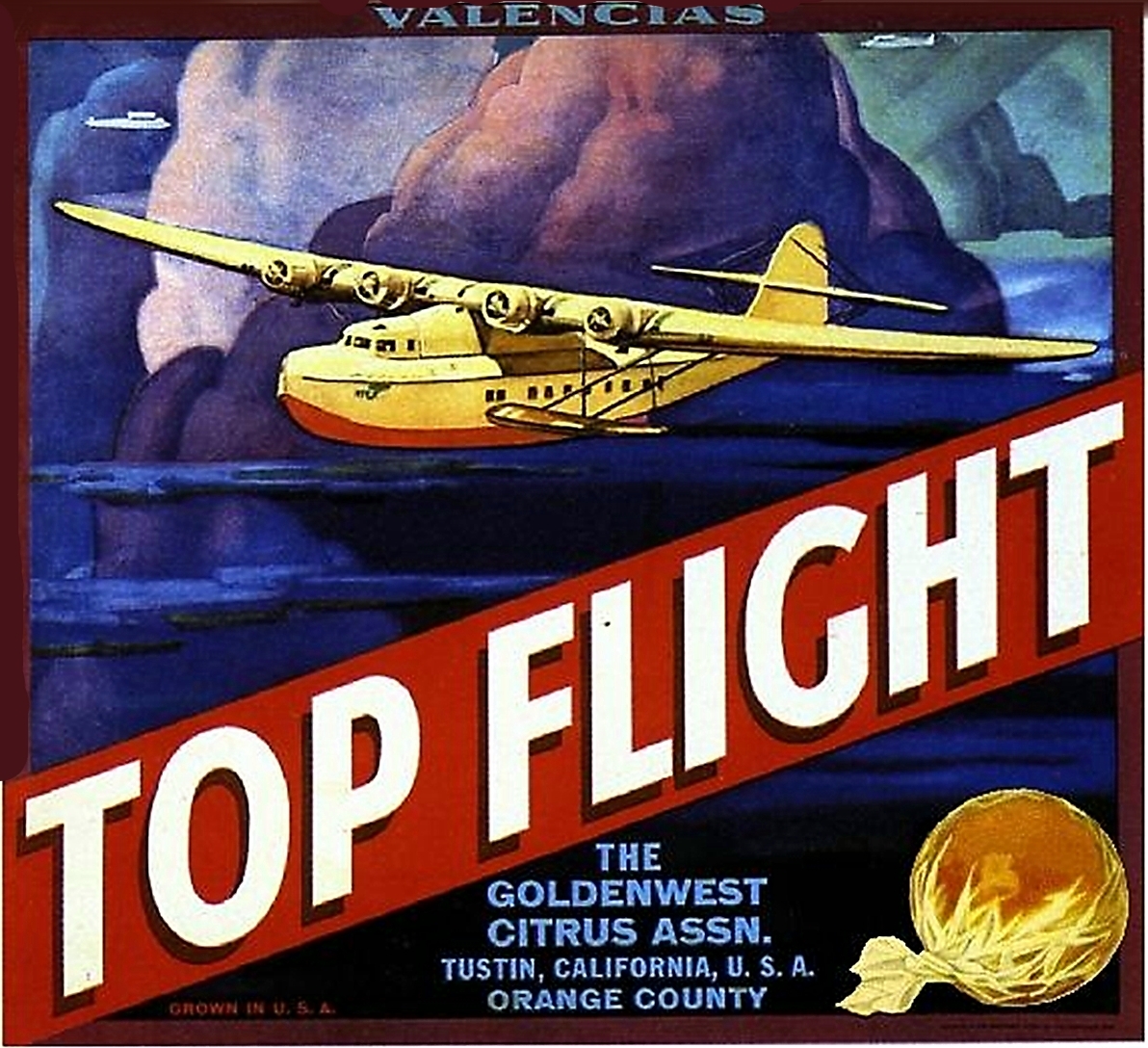 Top Flight Pan AM Clipper Airplane Orange Citrus Fruit Crate Label Art Print
