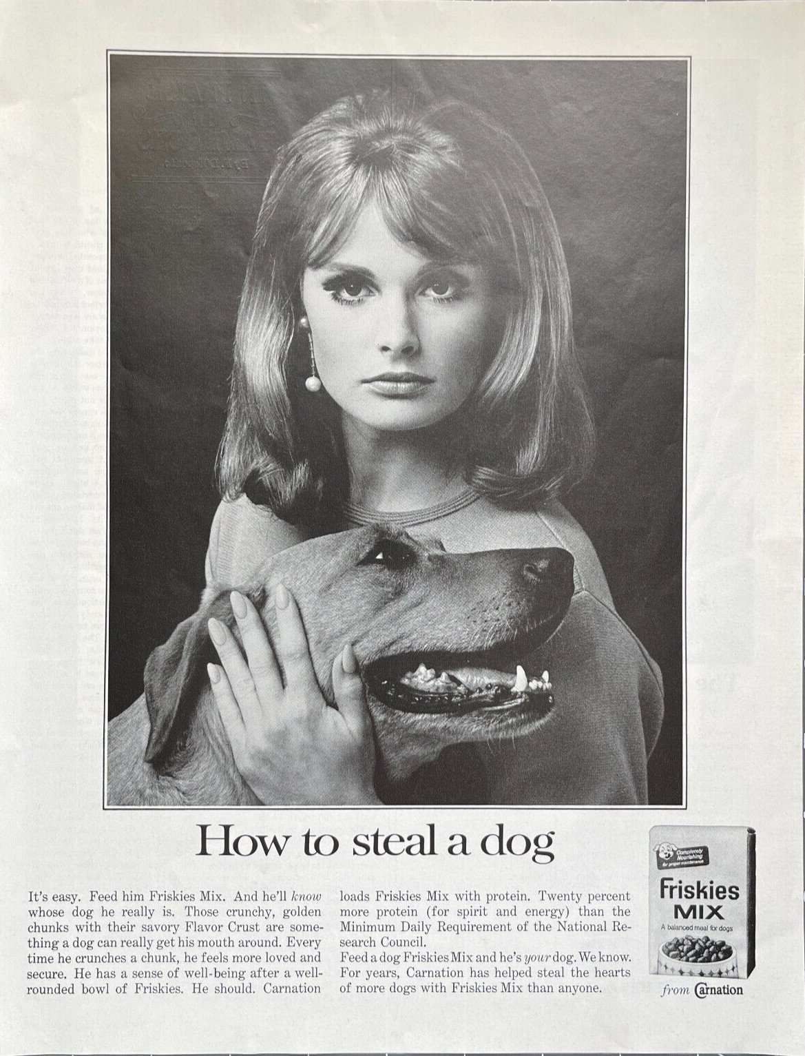 1966 Friskies Mix Vintage Print Ad How To Steal A Dog Woman And Best Friend