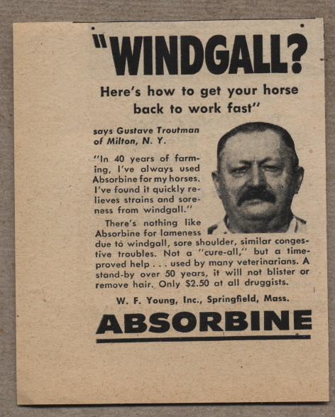 1951 Vintage Ad Absorbine for Horses Windgall