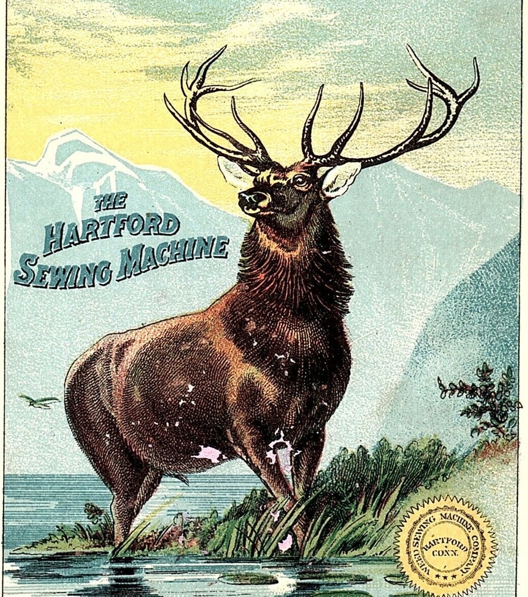 Hartford Sewing Machine Trade Card Stag Deer in The Water Wemple Litho Vintage