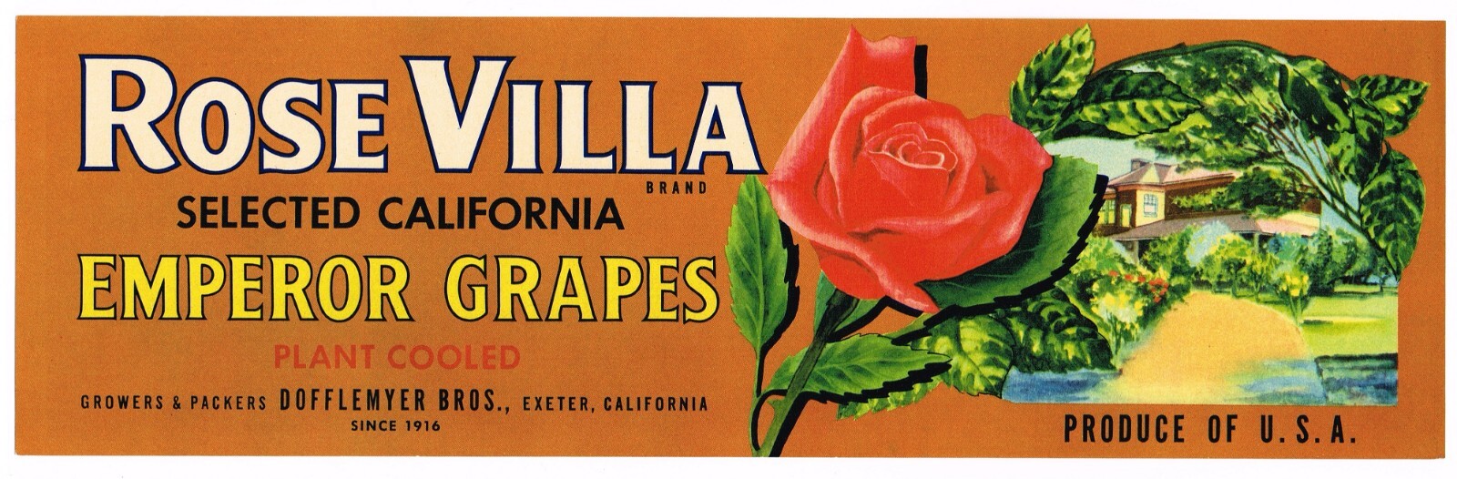 ORIGINAL CRATE LABEL VINTAGE ROSE VILLA C1950 GRAPE EXETER CALIFORNIA RARE