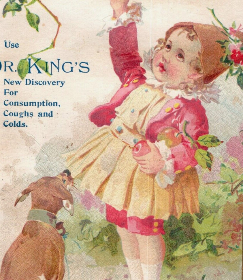 1880s W.G. Wilkins, Druggist Dr. King’s Cure-All Quack Med. Cute Puppy Dog #7S