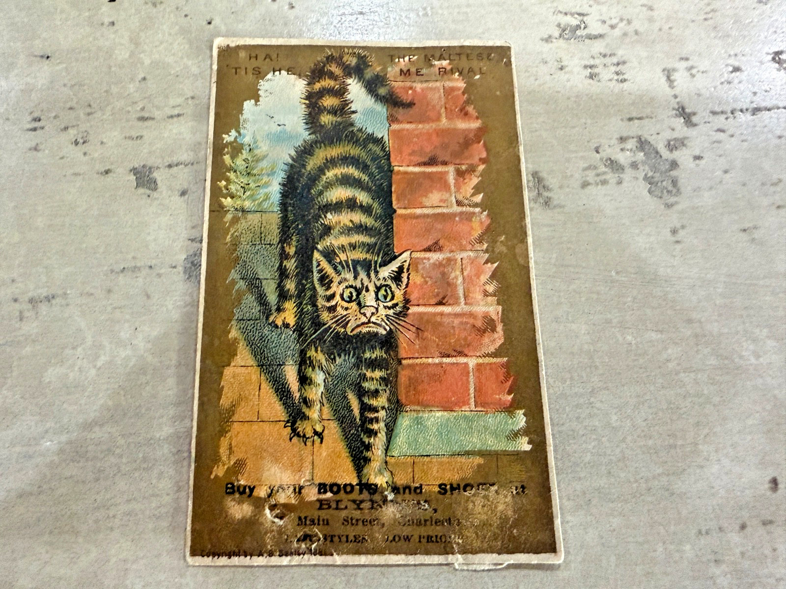 Blynne’s Boots & Shoes Charleston Cat Victorian Trading Card