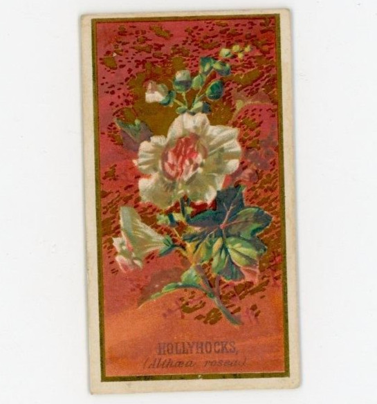1890 N164 Goodwin & Co. Old Judge Tobacco Hollyhocks F162