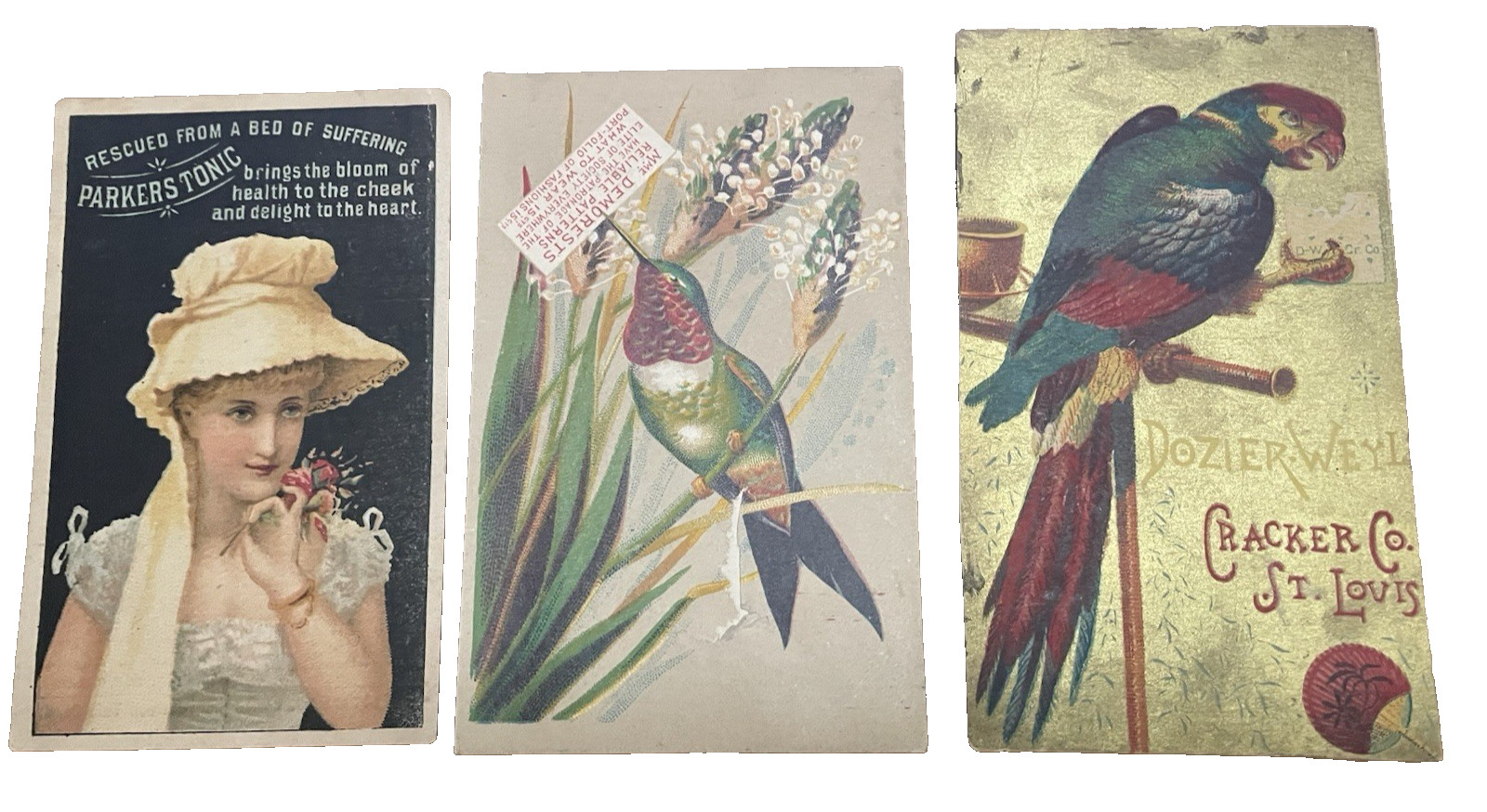 Birds Atq Advertising Cards Dozier Demorests Parkers Tonic Quack Med Lot of 3