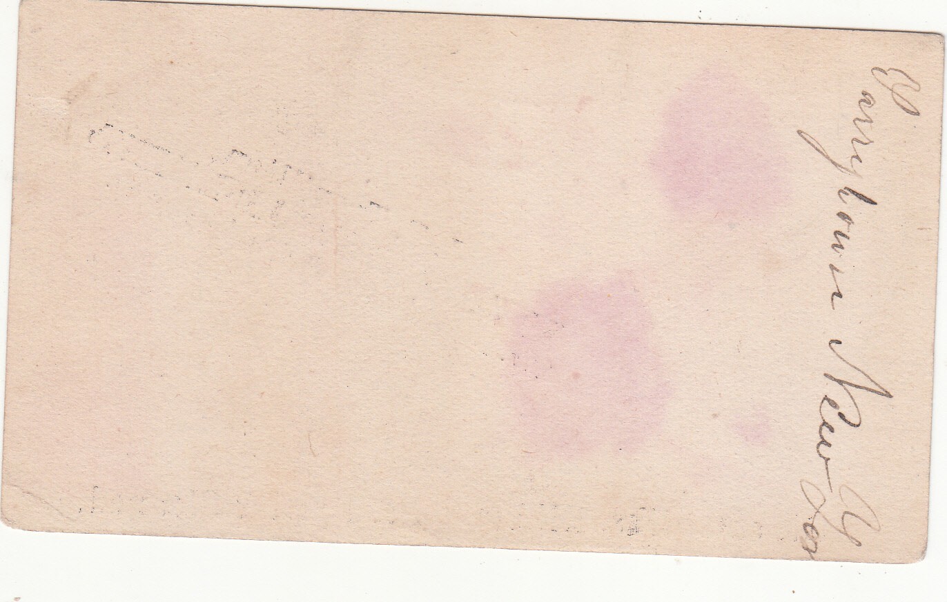 J T Trevillion Dyeing Establishment Hummingbird Rose Vict Card c1880s
