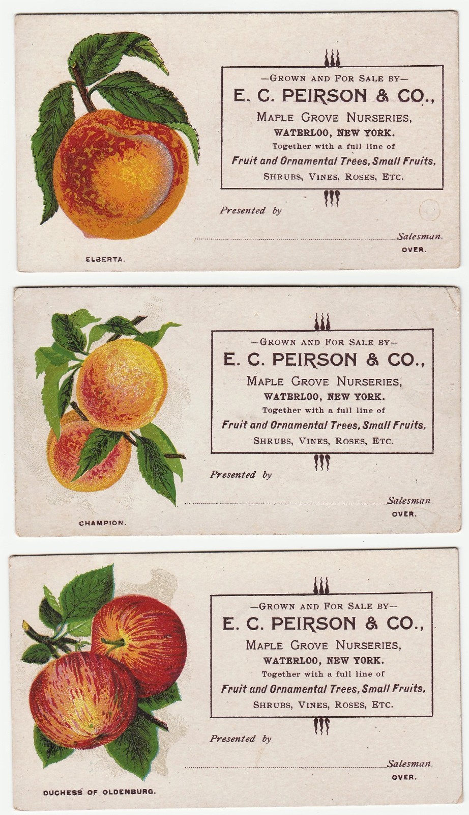 RARE Advertising 7 Trade Cards – Peirson Maple Grove Nursery Waterloo NY ca 1890