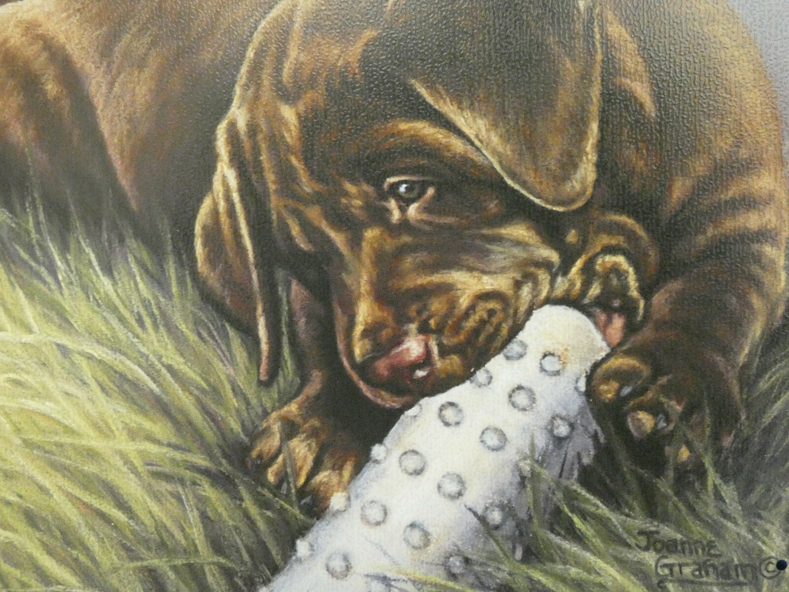 Chocolate Lab Black Labrador Retriever 2 pc Metal Sign Set Out of Print NEW B12