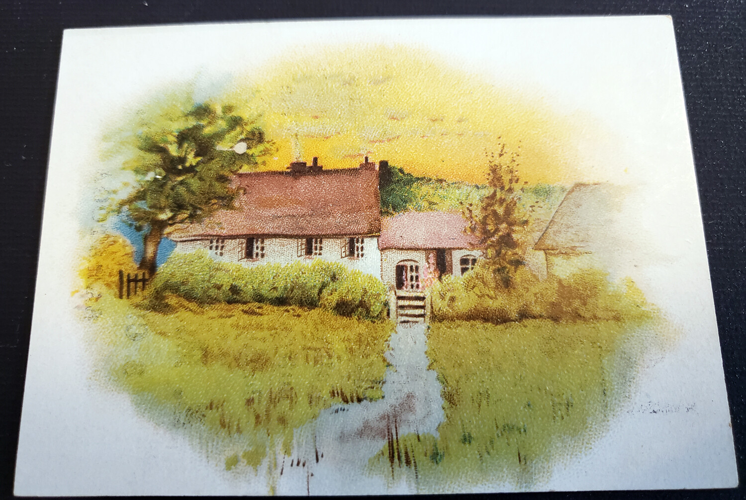 Antique Trade Card Russia Calf Shoes Advertising S.B.Thing Co Saratoga New York
