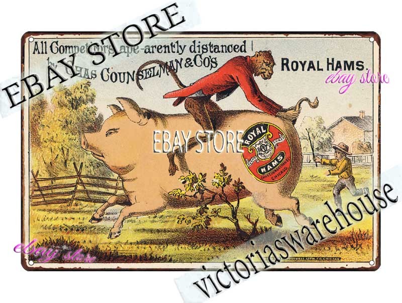 1890s Royal Hams Pig Chase Funny Trade Card Tin Sign modern decor