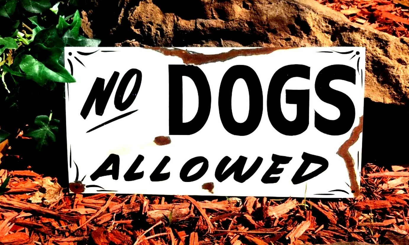 Vintage Rustic Metal NO DOGS Pets Grass Home Park Store Hand Painted Sign Decor