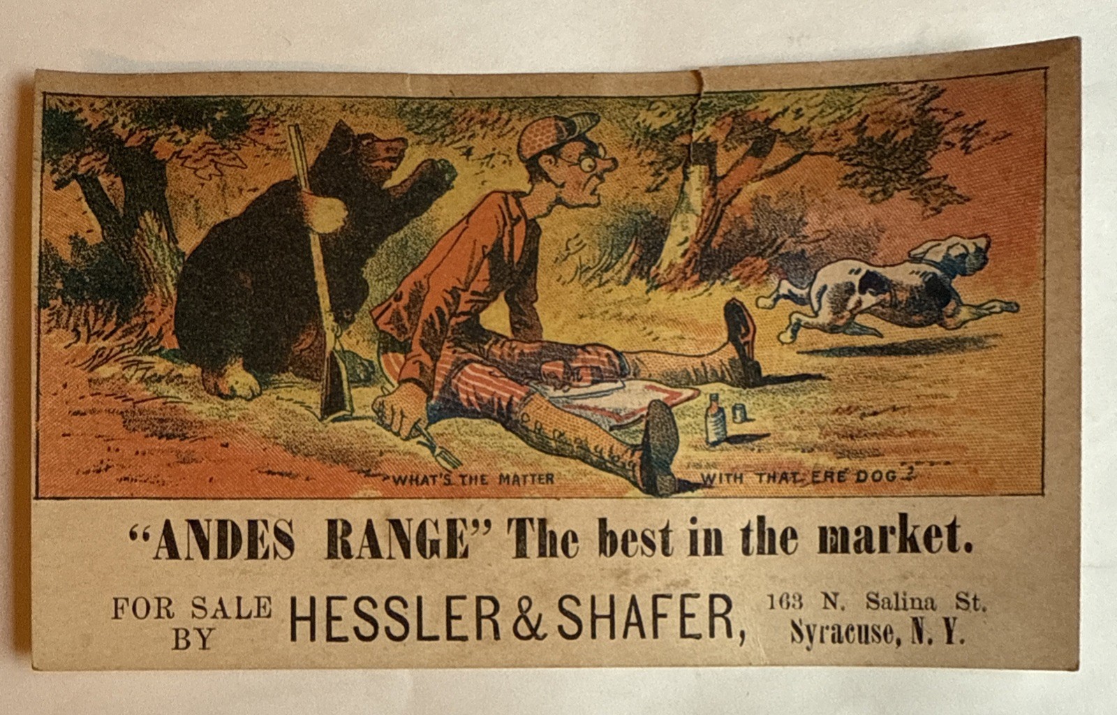 Victorian Trade Card Hessler & Shafer “Andes Range” 163 N Salina St Syracuse C5