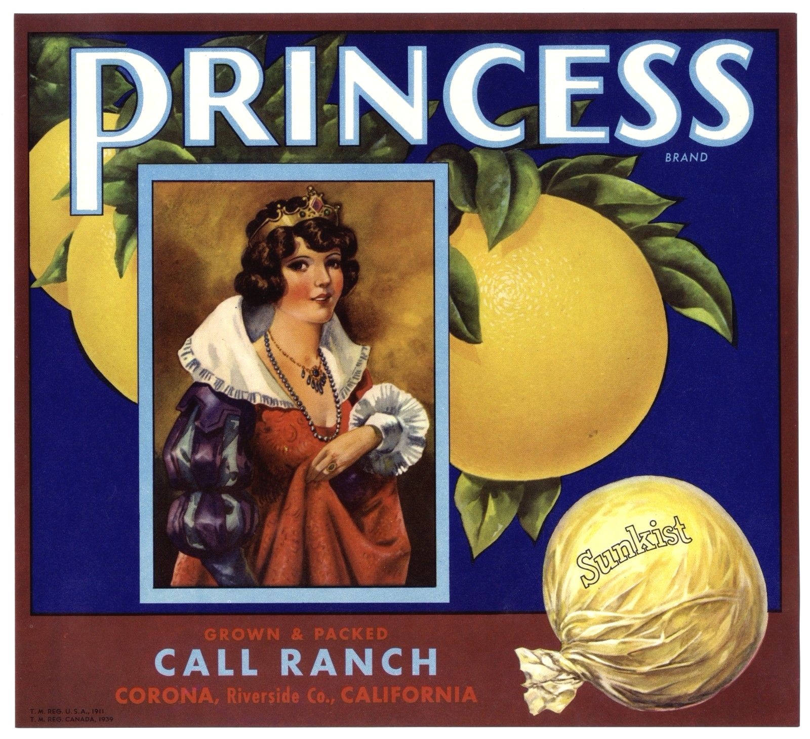 PRINCESS~ORIGINAL 1930s CORONA-RIVERSIDE CALIFORNIA GRAPEFRUIT FRUIT CRATE LABEL