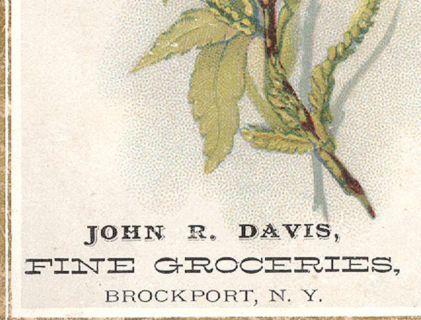 1880’s BROCKPORT, NY TRADE CARD, JOHN R. DAVIS, dealer in FINE GROCERIES, C734