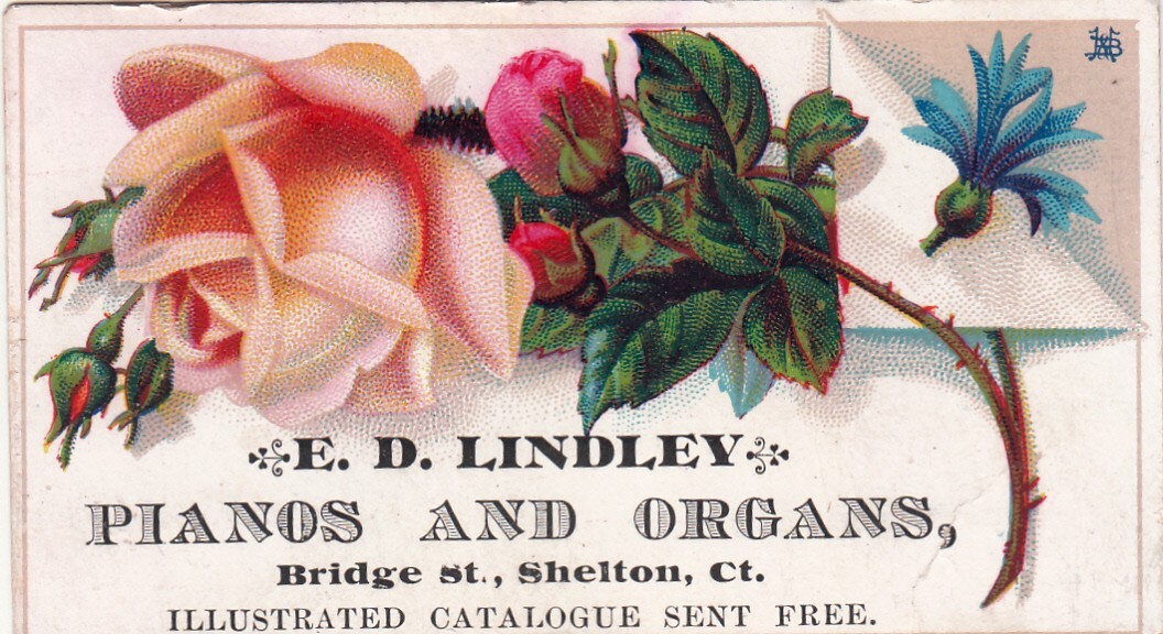 E D Lindley Pianos and Organs Shelton Connecticut Yellow Rose Vict Card c1880s