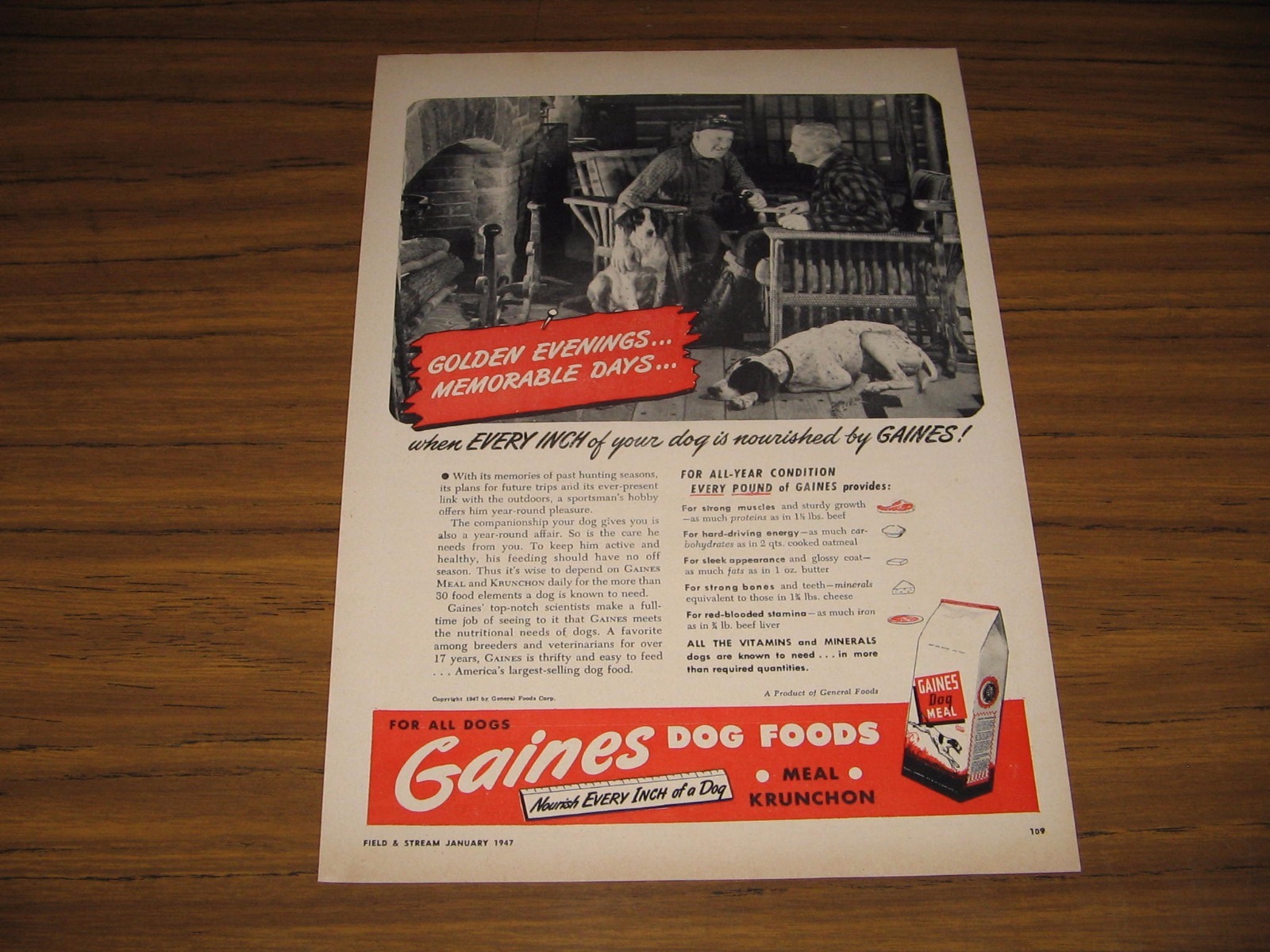 1947 Print Ad Gaines Dog Food Hunters & Hunting Dogs in Log Cabin