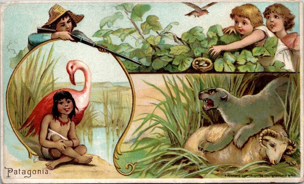 Arbuckle Bros Coffee Patagonia Panther Hunting Robbing Bird Nest For Eggs B FQV1