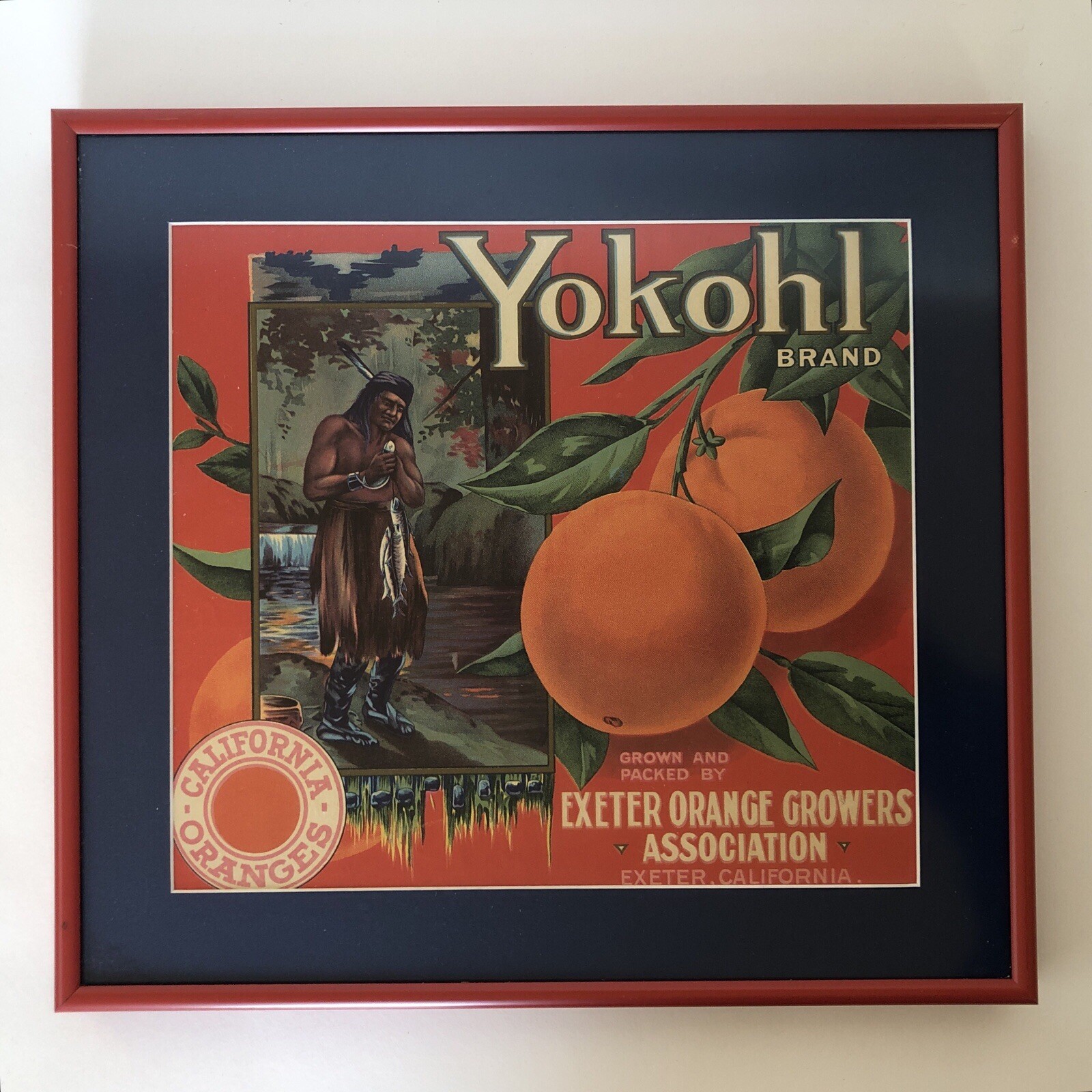 Vtg Original Yokohl Oranges Fruit Crate Label Framed Exeter Native American Fish
