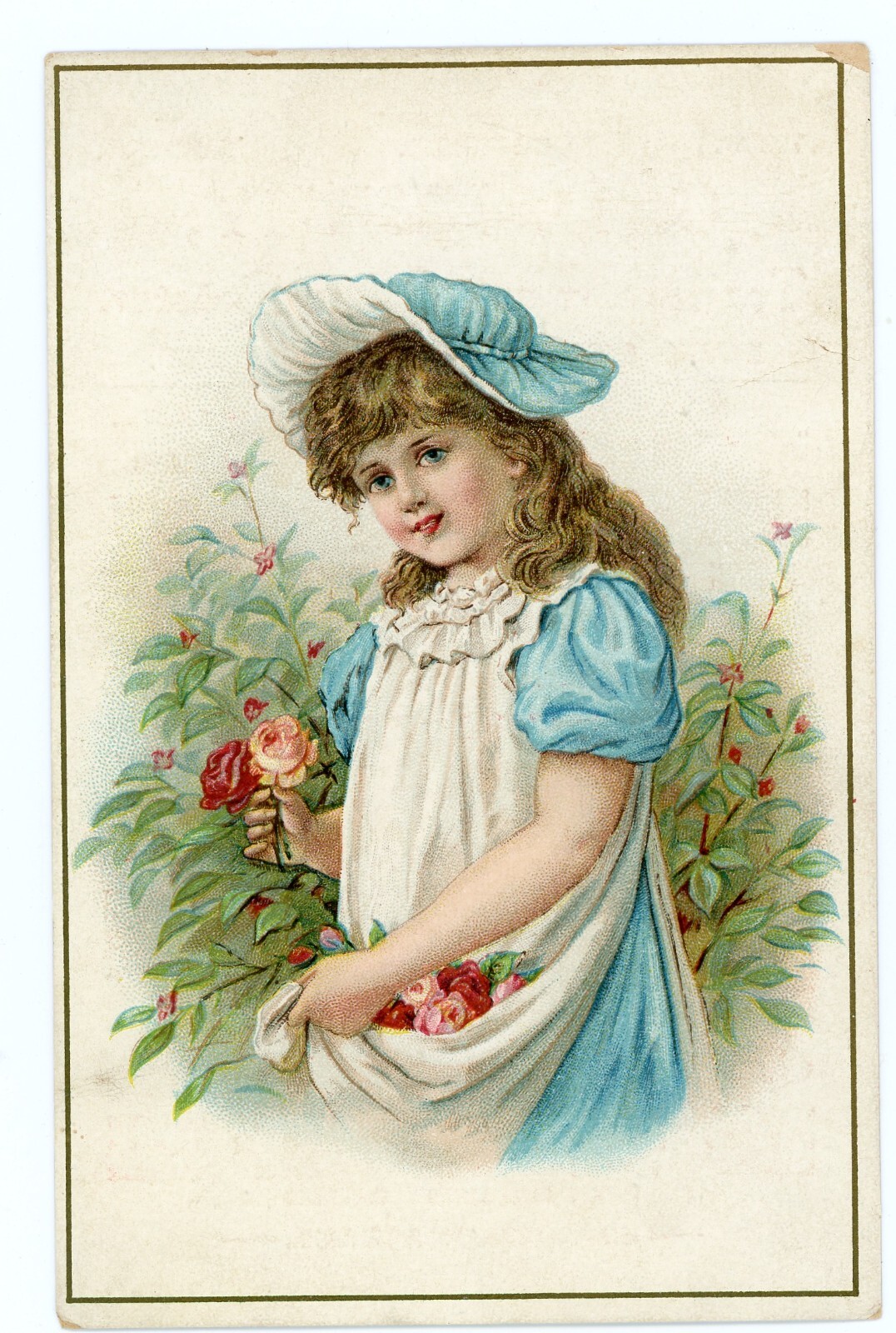 Victorian Trade Card C.D. Kenny Tea & Coffee Roaster Girl Picking Flowers Blue