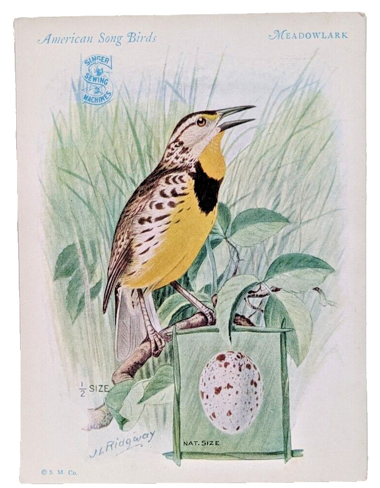 Singer Sewing Machines American Song Birds Trade Cards Robin Catbird Meadowlark