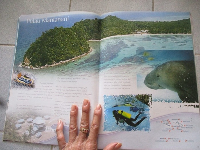 scuba diving guide book malaysia island map picture 8×11.5 inch eng not sent USA