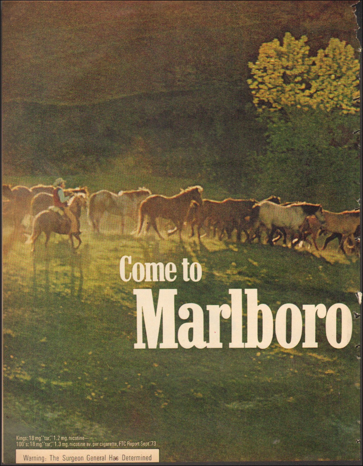 1973 Vintage ad Marlbor Country Tobacca Cigarettes Horses 2-pgs 02/14/26