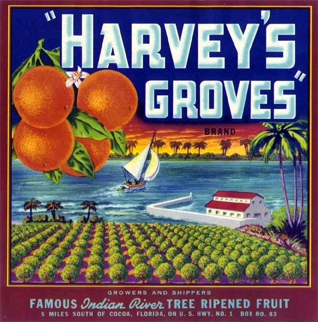 Harvey’s Groves Orange Fruit Crate Label Art Print Indian River Cocoa Fl