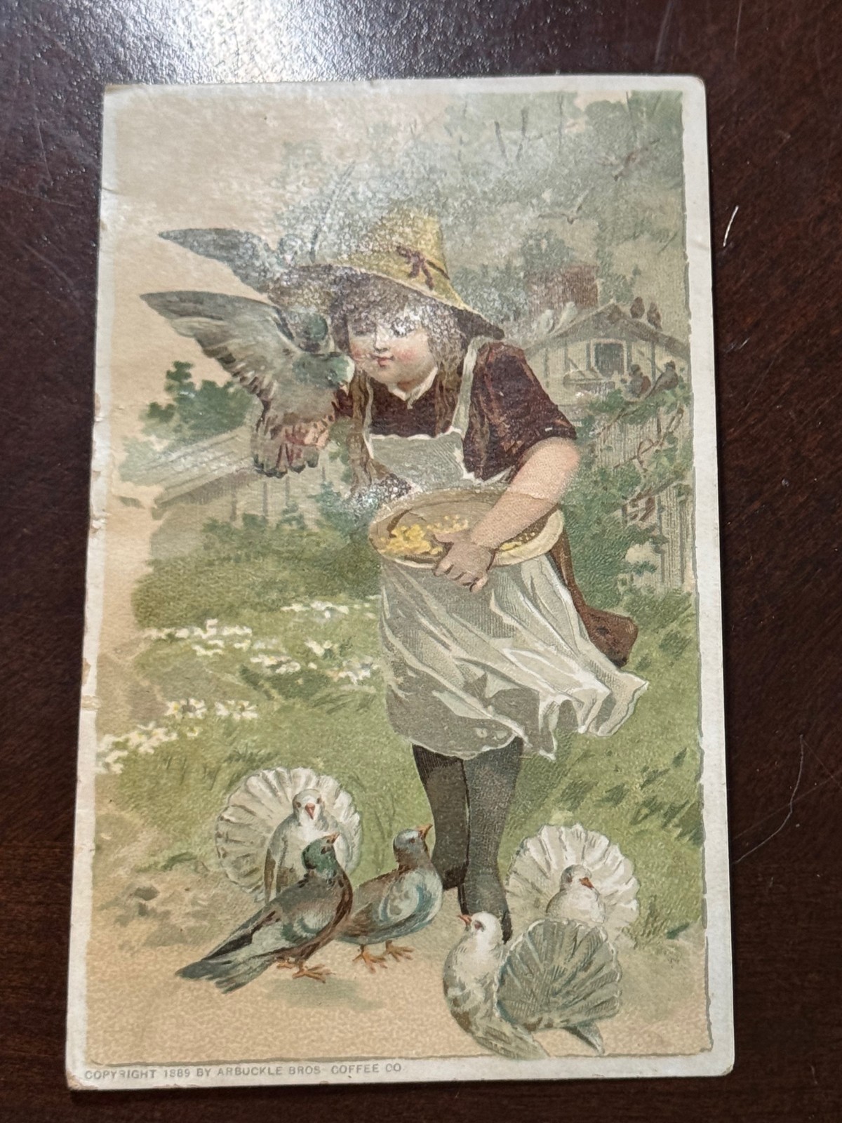 D-053 Arbuckle’s Ariosa Coffee Victorian Trade Card Antique Girl Birds