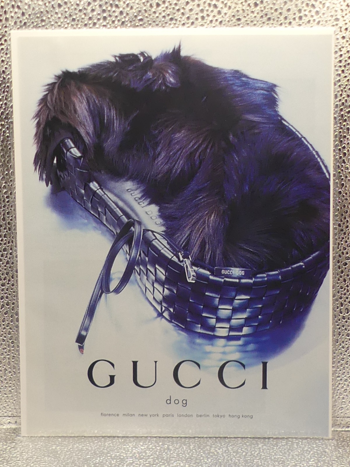 Vintage Gucci Dog Campaign Paper Magazine (1998) Print Advertising Full Page Ad