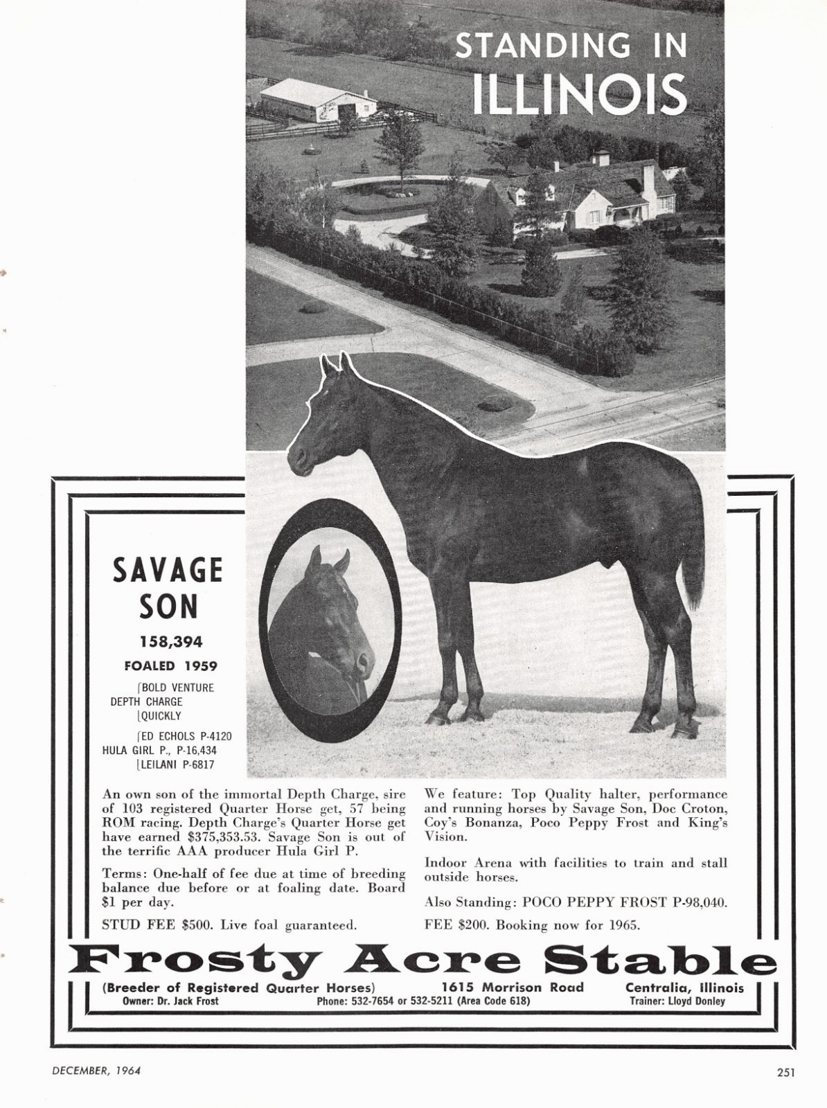 Savage Son Stud Frosty Acre Stable Dr Jack Frost Centralia IL Vtg Magazine Ad
