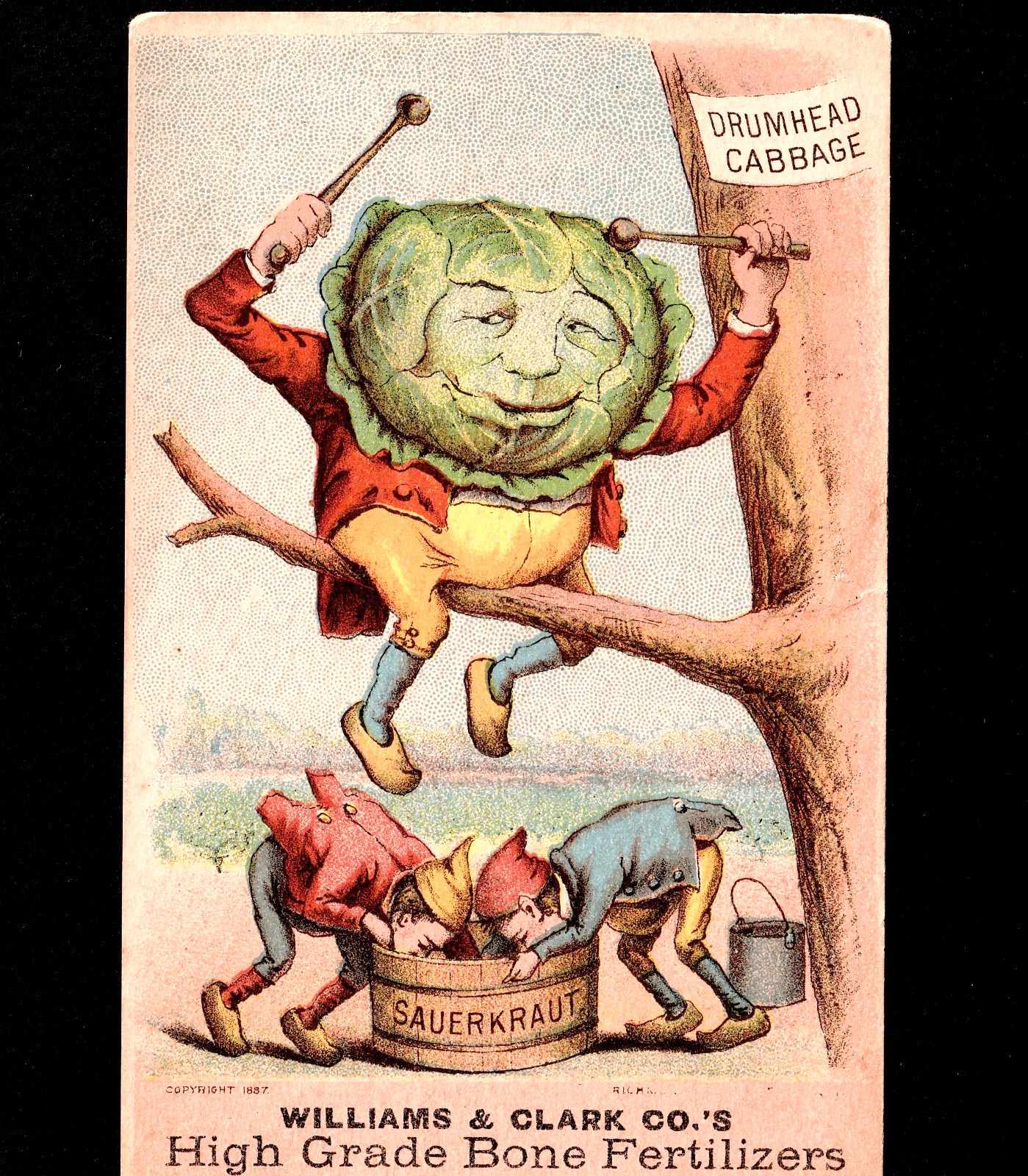 Veggie People 1887 Drumhead Cabbage Williams Clark Fantasy Victorian Trade Card