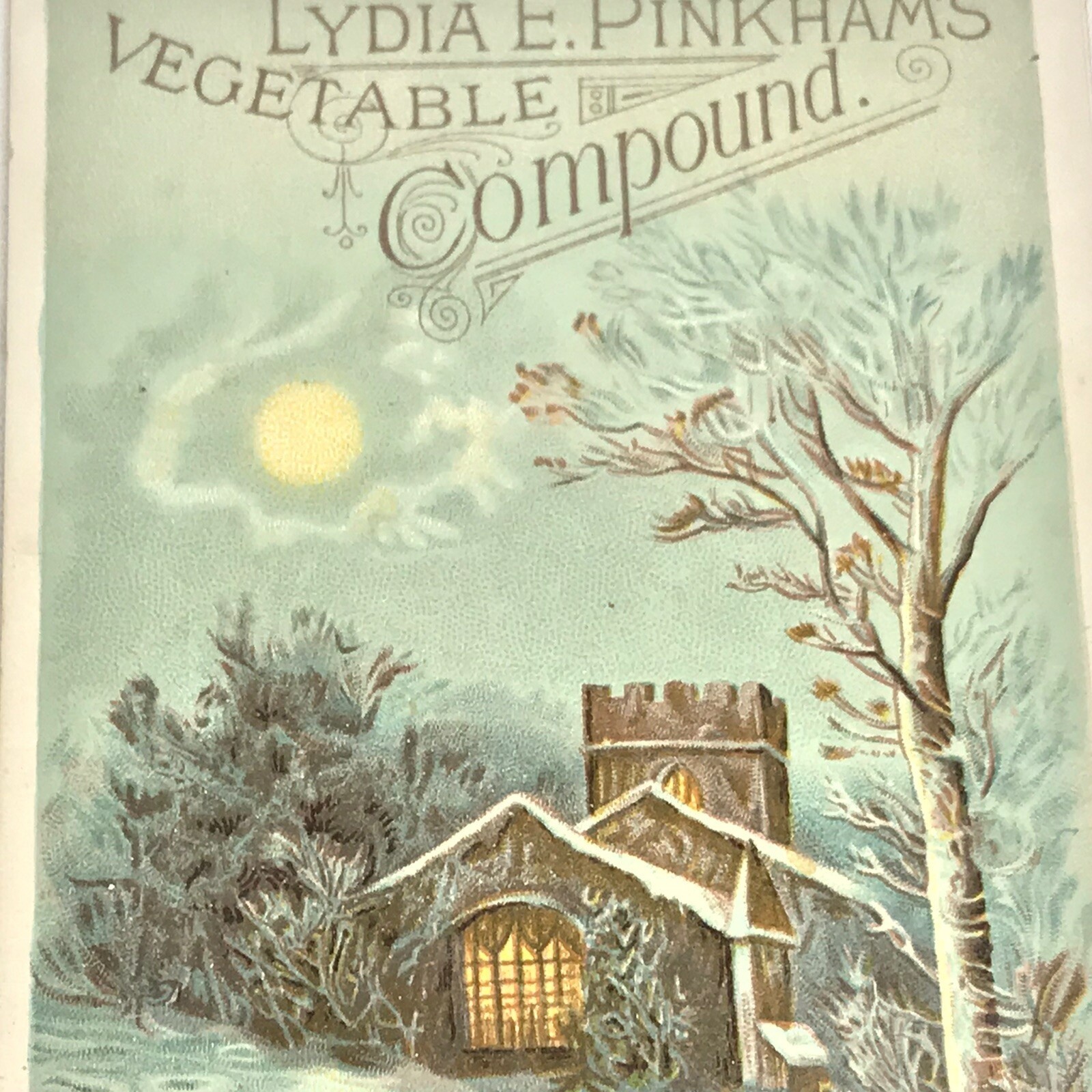 Victorian Trade Card Vegetable Compound Lydia E Pinkham Winter Scene House