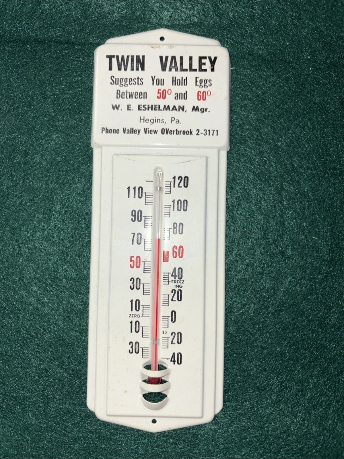 Vintage Twin Valley Eggs Metal Advertising Thermometer ~ Hegins, PA ~ Works
